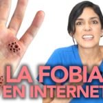 Causas y síntomas de la tripofobia en humanos